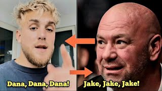 jakepaul responds to Dana White's offer