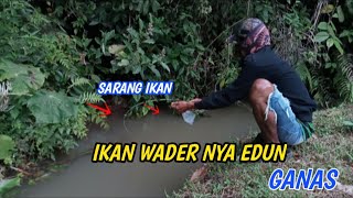 SPORT POTENSIAL BUAT MANCING IKAN WADER GACOR|mancing ikan wader teknik dasaran umpan geleng jitu