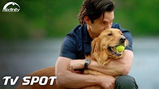 The Art of Racing in the Rain TV Spot "A Purebred Original" (2019) HD | Mixfinity International