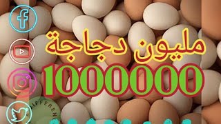 محمية المليون دجاجة      في اليابان