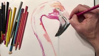 A quick flamingo 🦩 art tutorial. Using pencil crayon. Attempted under 15 minutes but failed! Enjoy!