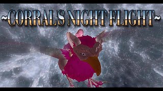 ~CORRAL'S NIGHT FLIGHT DURING MAINTENACES ON THE GRID~