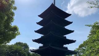 Japanese Pagoda POV, Kyoto, Japan