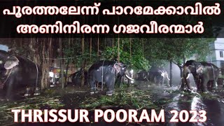 മഴയിൽ കുളിച്ച് കരിവീരചന്തം🐘💞THRISSUR POORAM 2023 ELEPHANTS പൂരത്തലേന്ന് പാറമേക്കാവിൽ അണിനിരന്ന ആനകൾ🐘