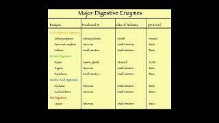 major digestive enzymes