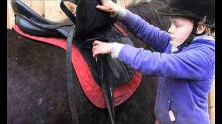 Crafty Ponies! PONY LESSONS - How to put a saddle on your pony and on your Crafty Ponies soft toy!