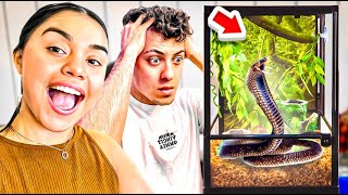 Watch what happens when my FRIENDS take over my REPTILES for a DAY...