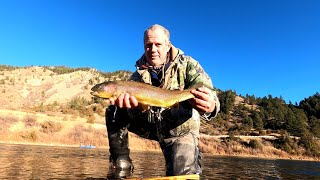 Missouri River Montana Scuds and Sow Bugs