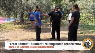 Day 10 Afternoon Lesson  "Art of Combat" Summer Training Camp 2014