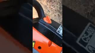 A Clean Saw Is A Happy Saw 🧽 #shortvideo #shorts #chainsawman #chainsaw #firewood