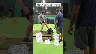 How To Throw Harder #subscribe #shorts #baseball #pitchingmechanics