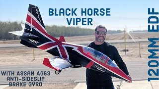 Black Horse Vipier MKII 120mm EDF 12s with Assan AG63/Anti-sideslip brake gyro