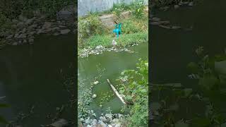 Mancing seru👍👍👍#vidioshort #mancing #viralvideo