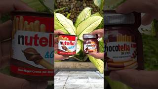 Nutella Vs Chocotella