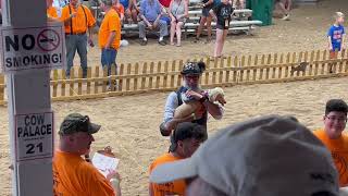 A Close Call at a Cleveland Oktoberfest Weiner Dog Race