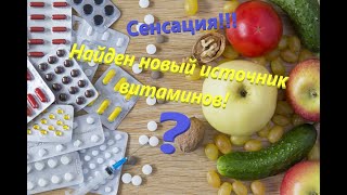 Сенсация! Найден новый источник витаминов.