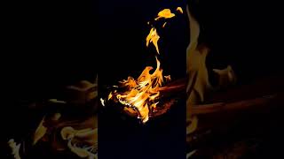 Enjoying the warmth of a road side fire to beat the cold of Agartala #Trending #Reels #Shorts #Video