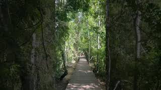 Tour Garden Angkor wat tour in Cambodia, top Angkor tour , Angkor wat gate