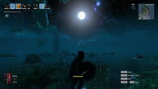 Valheim Gameplay - Moonlit forest at night