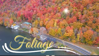 Discover the Hidden Gems of New Hampshire's Fall Foliage