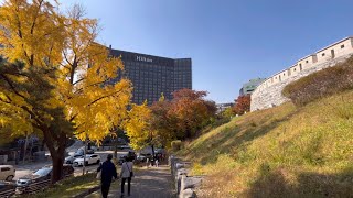 [4K🇰🇷] 가을 산책 | 백범광장공원 |Walking with me | Colorful Autumn Vibe | Walk Park ,Seoul,Korea