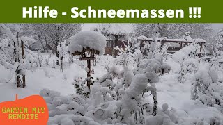 Hilfe Schneemassen !!!  Wir versinken im Schnee | Schnee schieben und Auto befreien