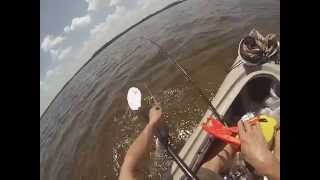 Kayaking Shark Fishing at Ruskin, Florida