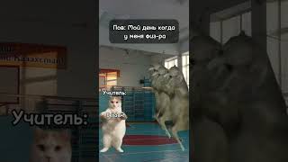 Пов: мой день, когда у меня физ-ра #youtube #подписки #polly_k #рекомендации