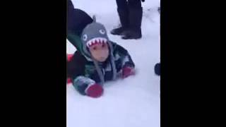 Baby Ryder's first sled ride