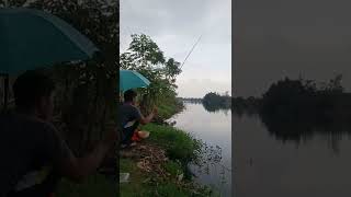 Mancing strike mujair danau Bekasi #shorts