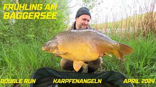 Karpfenangeln Frühling 2024 / Carpfishing Spring 2024 / Karpfenangeln in Baden-Württenberg