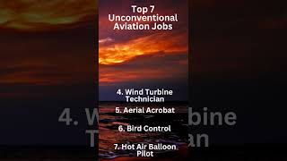 Top 7 Unconventional Aviation Jobs #shorts #funfacts