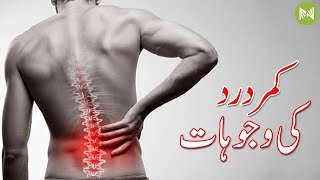 What Are The Causes Of Back Pain? | کمر درد کی وجوہات کیا ؟ | Metahealth