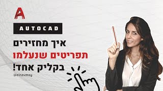 איך מחזירים תפריטים שנעלמו באוטוקאד בקליד אחד ! סרטון המשך