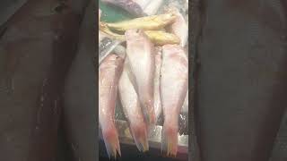 #asmr fresh fish #shorts #fish #viral