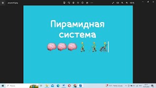 ПРОИЗВОЛЬНЫЕ ДВИЖЕНИЯ - пирамидная система 2