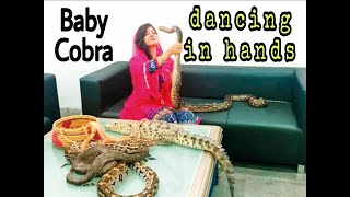 Baby Cobra Dance | Black Cobra Dancing | Snake Dance | Snake Charmer in Pakistan