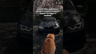 🥺 Тримайтеся там 😁 #existua #funny #funnyvideos #shorts #automobile