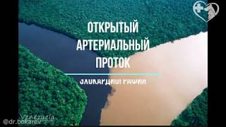 Открытый артериальный (Боталлов) проток у собак