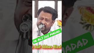 Qaseeda Ya Ali Madad | Syed Asif Abbas Rizvi | King Abbas