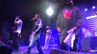 Wu tang Clan -(GZA)LIVE @chaliceFestival 2016