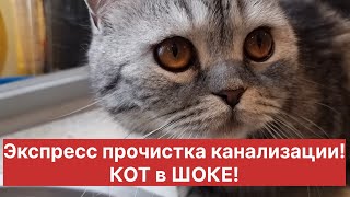 КАК ПРОЧИСТИТЬ КАНАЛИЗАЦИЮ В РАКОВИНЕ