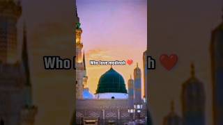 love madinah ❤️#madina #islam #lovemadina #status #ytshorts