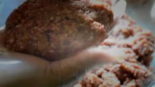 How to Make Salisbury Steak-How to start the keto diet for beginners?