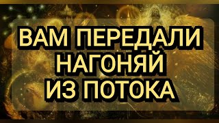 ⚡ВЫ ПОЛУЧИЛИ НАГОНЯЙ😇🍀#посланиевысшихсил #трансформация #Проводник #Любовь #Ангелы #shorts #short