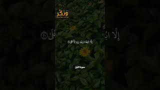 سورة الليل الآيات من 19 إلى 21 بصوت القارئ سعد الغامدي #حالات  #quran #قرآن  #shorts