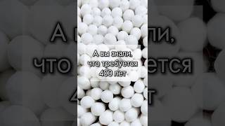 А вы знали, что нужно 400 лет?? Арт ВБ 201672801, Озон 1492346569 #wildberries #длядома #wb #находки