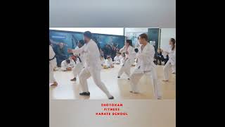 Karate Lesson - Shotokan Karate Techniques