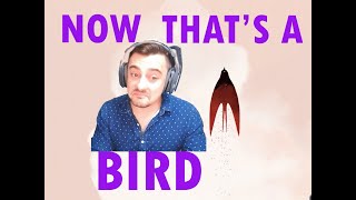 Gris BLIND PLAYTHROUGH (GREEN Section) first time | Episode 3 - Bird Hunter