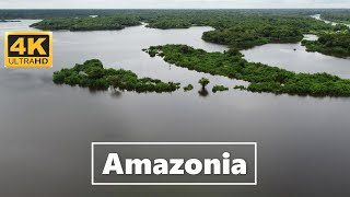 Amazonia